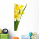 Yellow Narcissus Daffodil Wall Decal