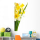 Yellow Narcissus Daffodil Wall Decal