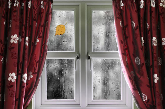 Rain Window with Curtains