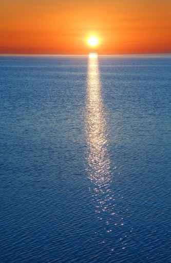 Sunset Siberia Wall Decal