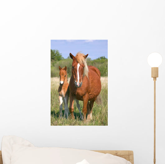 Mare and Son