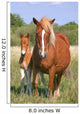 Mare and Son