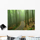 Romantic Bamboo Forest Wall Mural