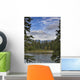 Stream Wall Mural