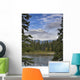 Stream Wall Mural