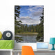 Stream Wall Mural