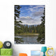 Stream Wall Mural