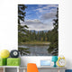 Stream Wall Mural