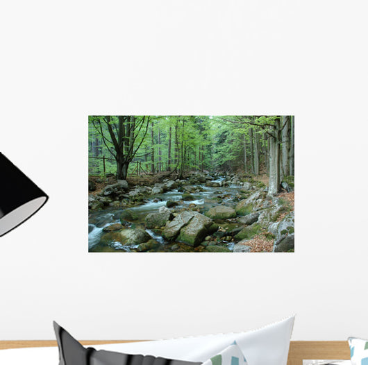 Stream