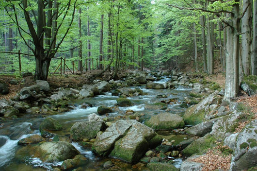 Stream