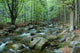 Stream