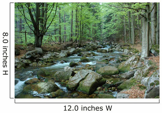 Stream