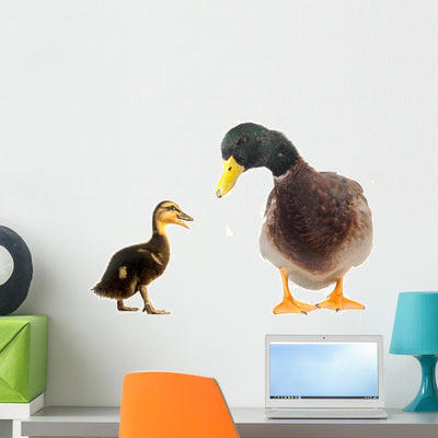Ducks shown on a wall