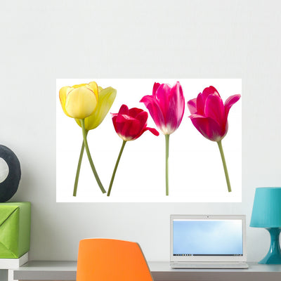 Flowers Tulips Red Yellow Wall Decal shown on a wall