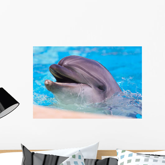 Dolphin Wall Mural