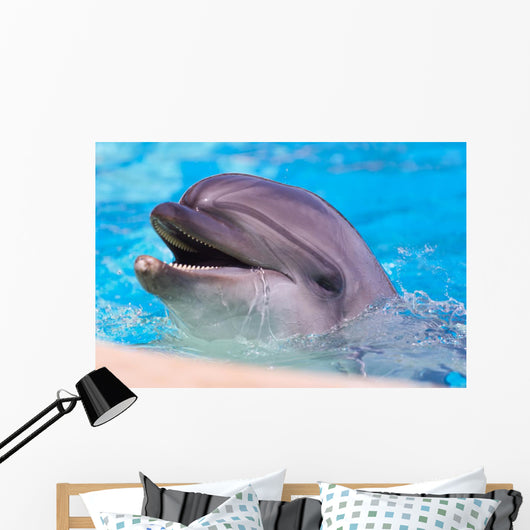 Dolphin Wall Mural