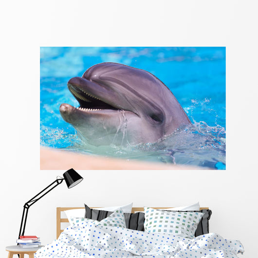 Dolphin Wall Mural