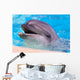 Dolphin Wall Mural