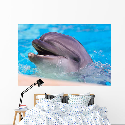 Dolphin Wall Mural