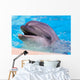Dolphin Wall Mural