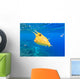 Longhorn Cowfish