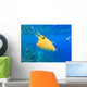 Longhorn Cowfish