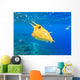 Longhorn Cowfish