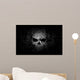 Grunge Skull Dark Background Wall Mural