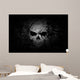 Grunge Skull Dark Background Wall Mural