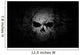 Grunge Skull Dark Background Wall Mural