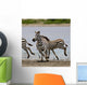 Zebras Serengeti National Park Wall Mural