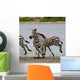 Zebras Serengeti National Park Wall Mural