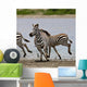 Zebras Serengeti National Park Wall Mural