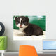 Cat Wall Mural