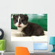 Cat Wall Mural