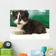 Cat Wall Mural