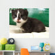 Cat Wall Mural