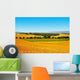 Tuscany Landscape
