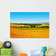 Tuscany Landscape