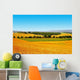 Tuscany Landscape