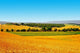 Tuscany Landscape
