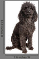 Poodle Dog