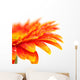 Orange Gerbera Wall Mural