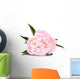 Pink Peony Flower