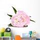 Pink Peony Flower