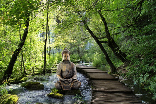 Buddha and Serenity