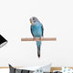 Blue Budgie Wall Decal