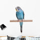 Blue Budgie Wall Decal