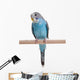Blue Budgie Wall Decal