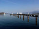 Segelboote Wall Decal